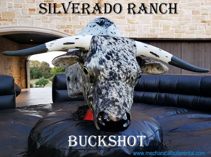 Buckshot the Mechanical Bull